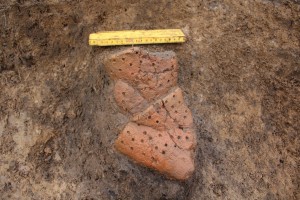 Sikar fundet i lertagningsgrube