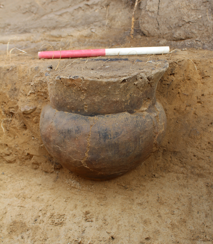 arkæologisk udgravning Wesselsminde Nærum